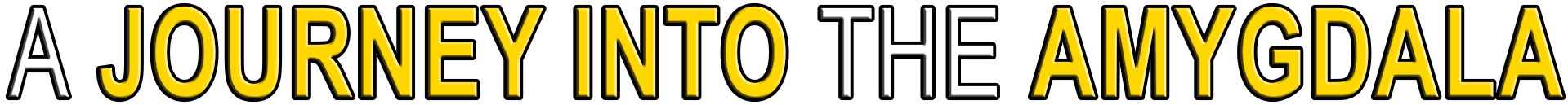 A JOURNEY INTO THE AMYGDALA
